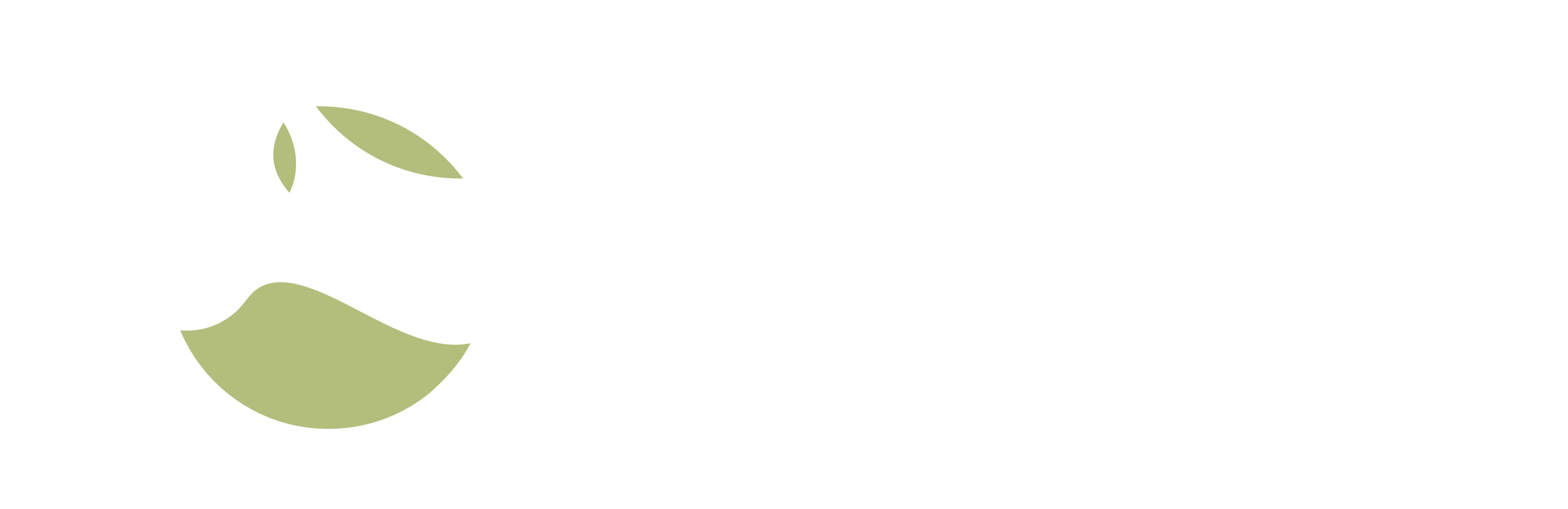 WellPhy Medical Hub